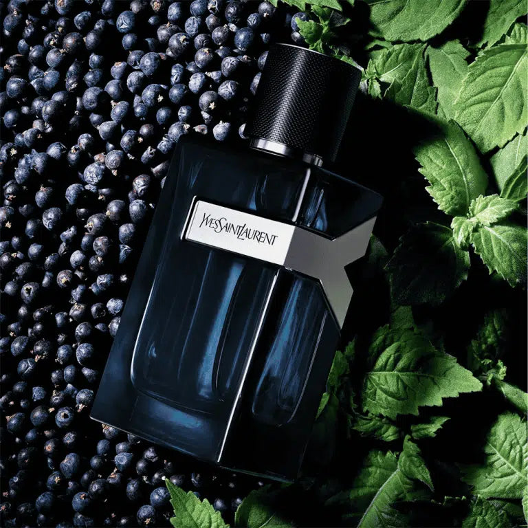 YSL Y EAU DE PARFUM 100 Ml - GGS Perfumes
